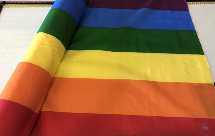 Tela con Bandera LGBT - Conchi Berguño