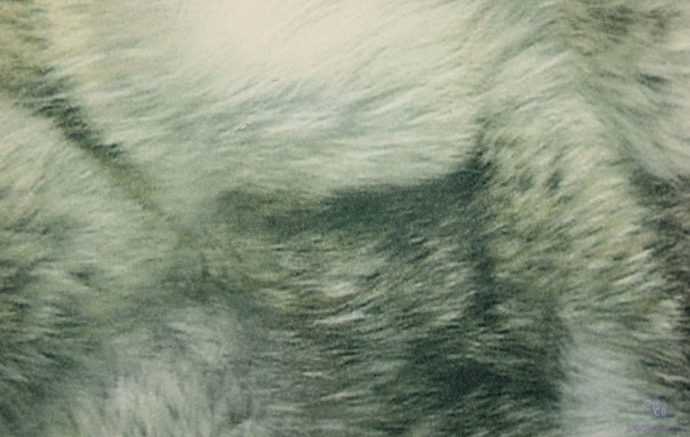 Tela de tapicería imitando Piel de Lobo - Conchi Berguño