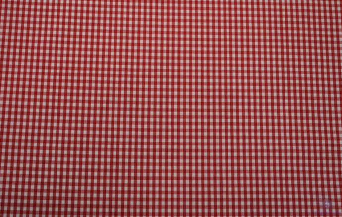 Tela Vichy Rojo | Cuadro mediano (4x5 mm) - Conchi Berguño